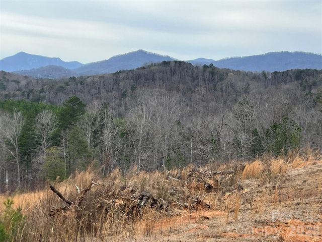 00 Shady Bark Lane 52, Rutherfordton, NC 28139