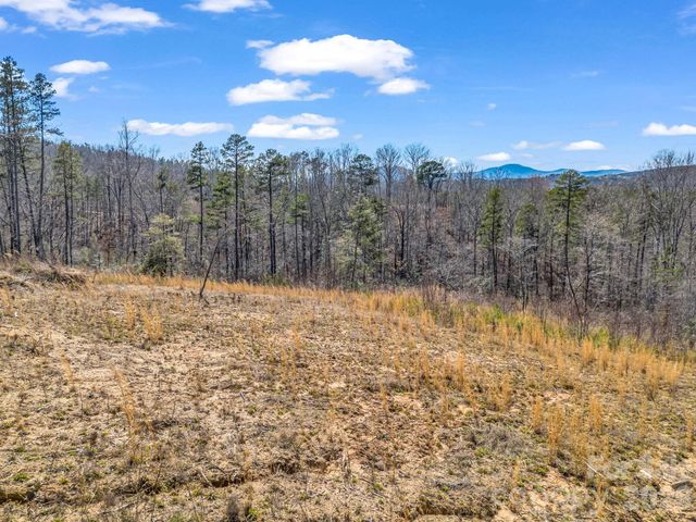 00 Shady Bark Lane 52, Rutherfordton, NC 28139