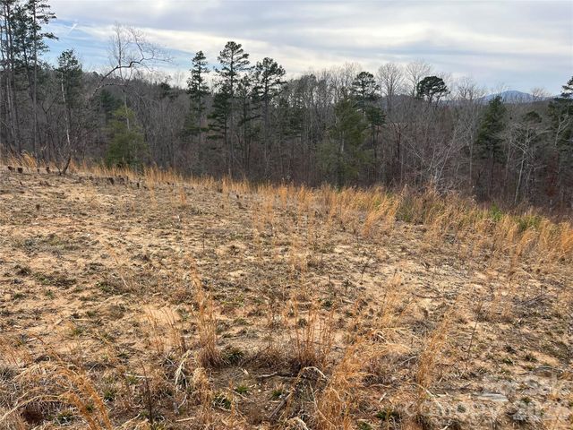 00 Shady Bark Lane 52, Rutherfordton, NC 28139