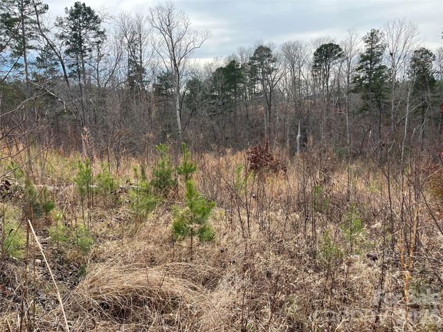 00 Shady Bark Lane 52, Rutherfordton, NC 28139