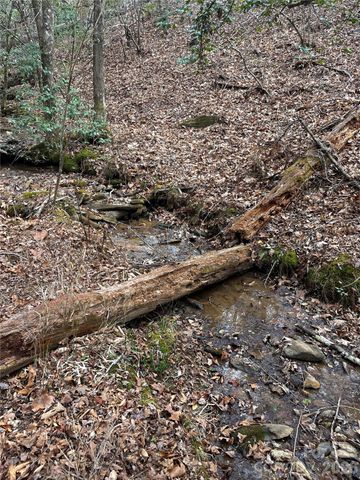 00 Shady Bark Lane 52, Rutherfordton, NC 28139