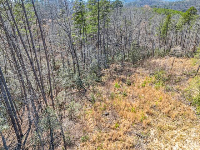 00 Shady Bark Lane 52, Rutherfordton, NC 28139