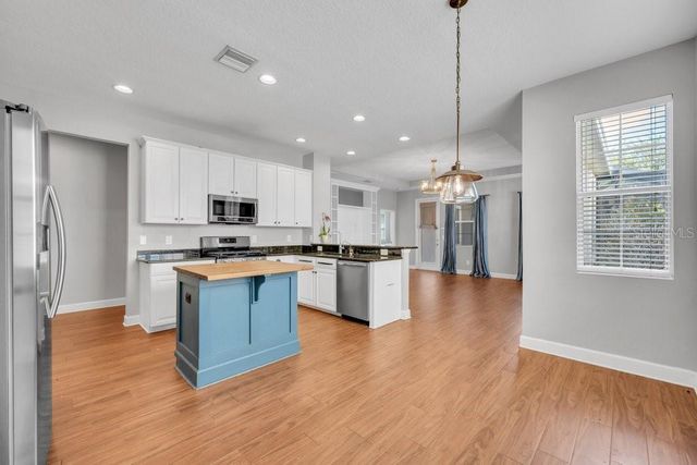 16013 LONEOAK VIEW DRIVE, Lithia, FL 33547