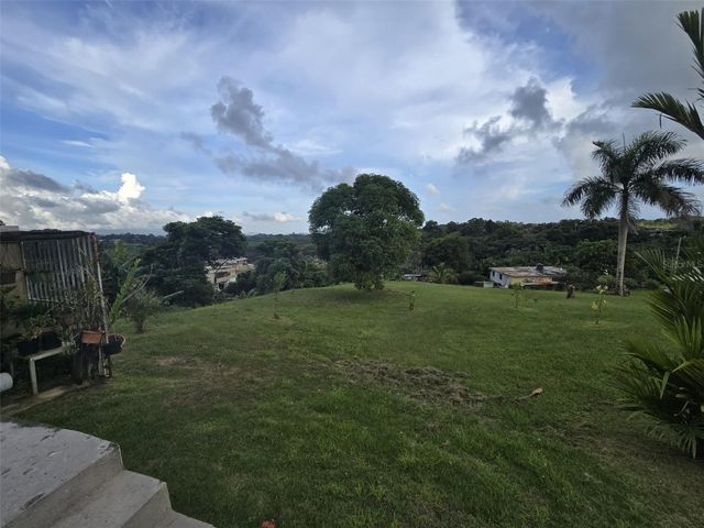 Sr 917 Km 8.5 Int TEJAS WD, Las Piedras, PR 00771