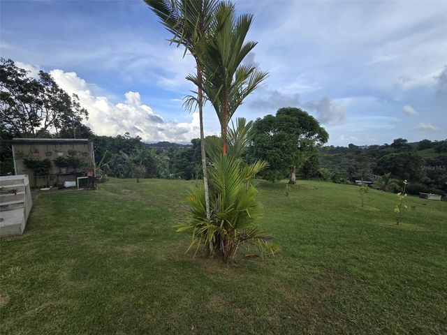 Sr 917 Km 8.5 Int TEJAS WD, Las Piedras, PR 00771