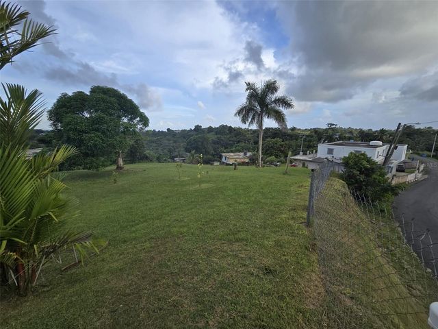 Sr 917 Km 8.5 Int TEJAS WD, Las Piedras, PR 00771