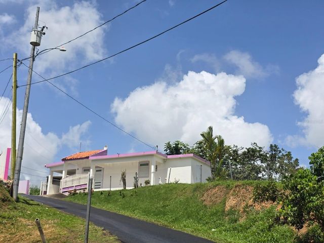 Sr 917 Km 8.5 Int TEJAS WD, Las Piedras, PR 00771