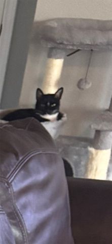 415 Ingred, Waco, TX 76705