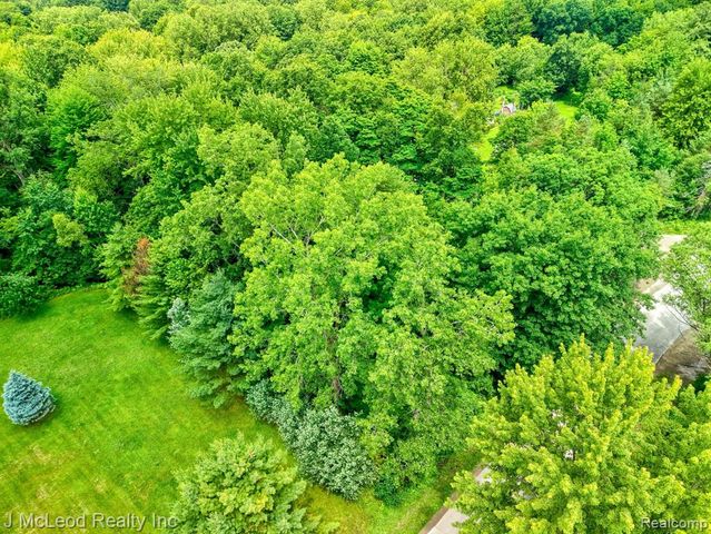 VL N Lewis Road, Clio, MI 48420