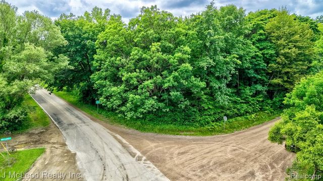 VL N Lewis Road, Clio, MI 48420