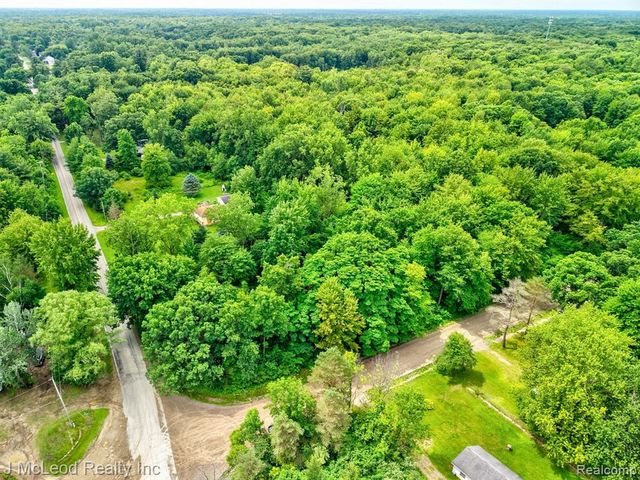 VL N Lewis Road, Clio, MI 48420