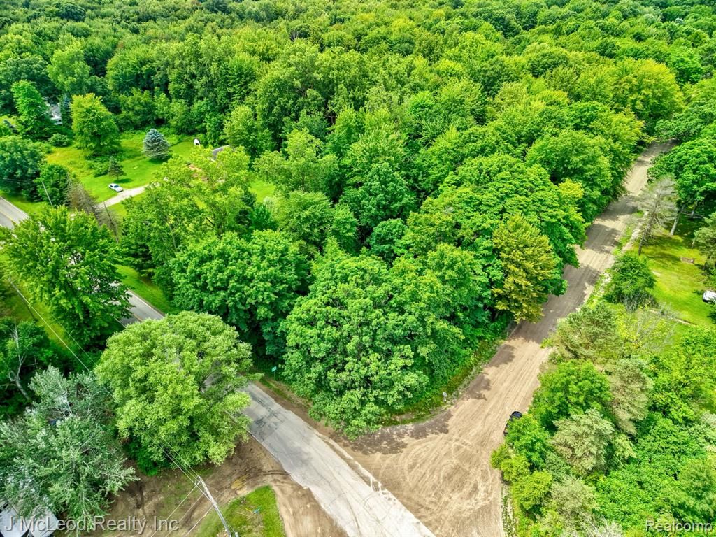 VL N Lewis Road, Clio, MI 48420