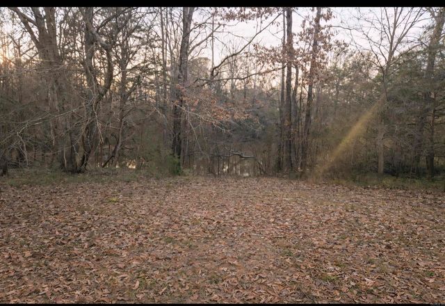 181 Craig Lane, De Queen, AR 71832