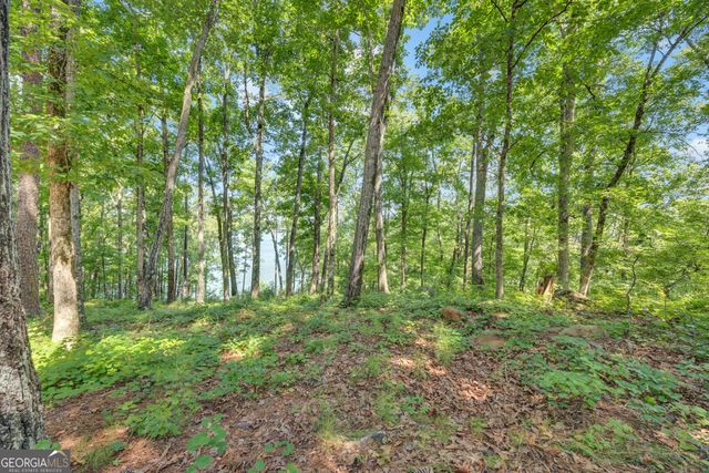 177 Nighthawk Court, Monticello, GA 31064