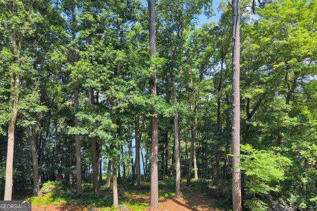 177 Nighthawk Court, Monticello, GA 31064