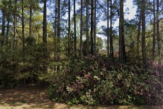 8185 Creston Barrow Road, Baker, FL 32531