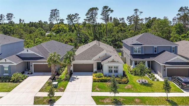 2644 LEAFWING COURT, Palm Harbor, FL 34683