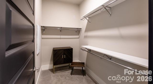 1308 Lorna Street C1, Charlotte, NC 28205