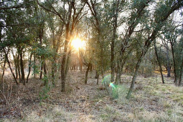 Lot 49 Tatanka Trail, Gustine, TX 76455