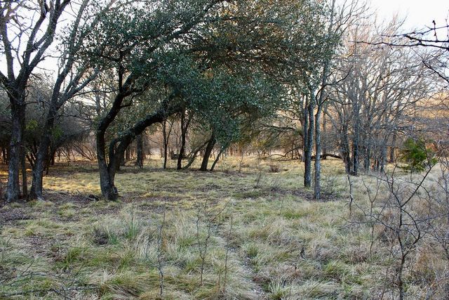 Lot 49 Tatanka Trail, Gustine, TX 76455