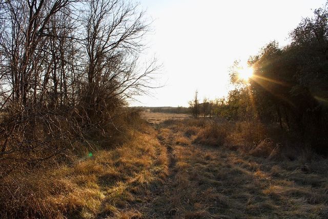 Lot 49 Tatanka Trail, Gustine, TX 76455