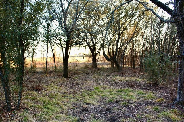 Lot 49 Tatanka Trail, Gustine, TX 76455