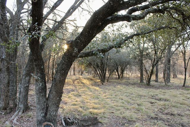 Lot 49 Tatanka Trail, Gustine, TX 76455
