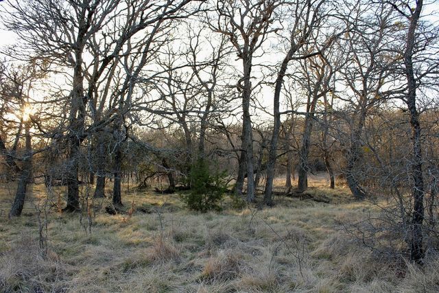 Lot 49 Tatanka Trail, Gustine, TX 76455