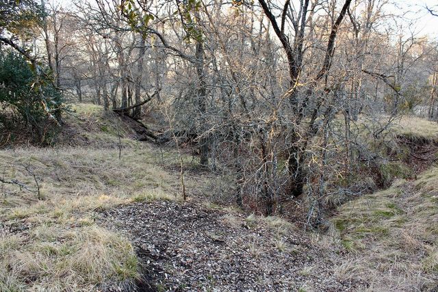 Lot 49 Tatanka Trail, Gustine, TX 76455