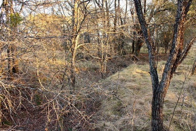 Lot 49 Tatanka Trail, Gustine, TX 76455