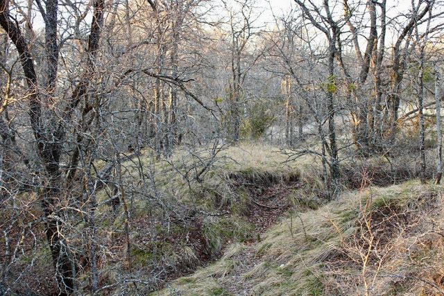 Lot 49 Tatanka Trail, Gustine, TX 76455