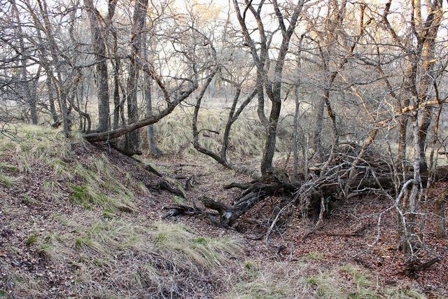 Lot 49 Tatanka Trail, Gustine, TX 76455