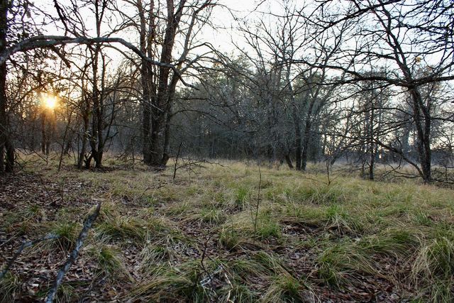 Lot 49 Tatanka Trail, Gustine, TX 76455