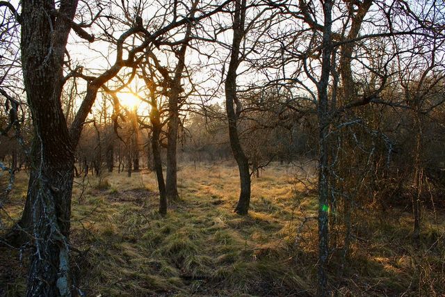 Lot 49 Tatanka Trail, Gustine, TX 76455