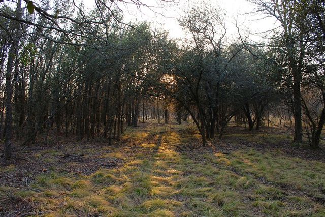Lot 49 Tatanka Trail, Gustine, TX 76455