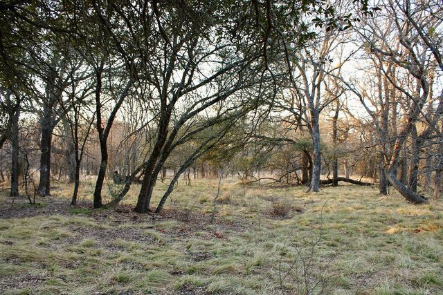 Lot 49 Tatanka Trail, Gustine, TX 76455