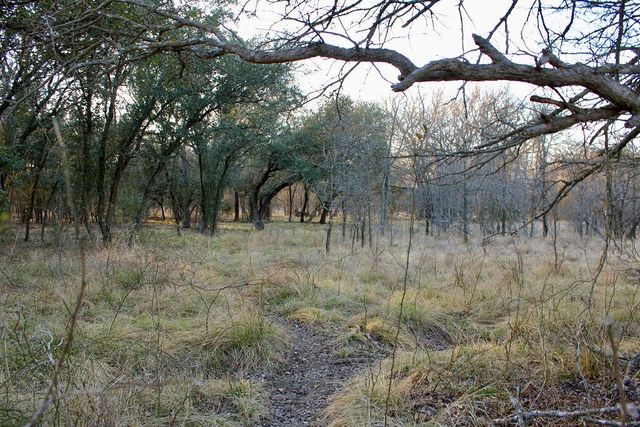Lot 49 Tatanka Trail, Gustine, TX 76455