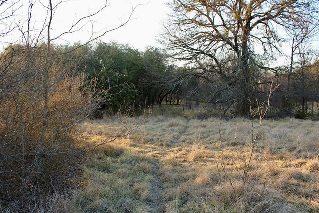 Lot 49 Tatanka Trail, Gustine, TX 76455