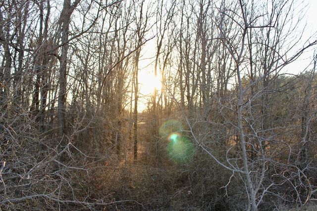 Lot 49 Tatanka Trail, Gustine, TX 76455