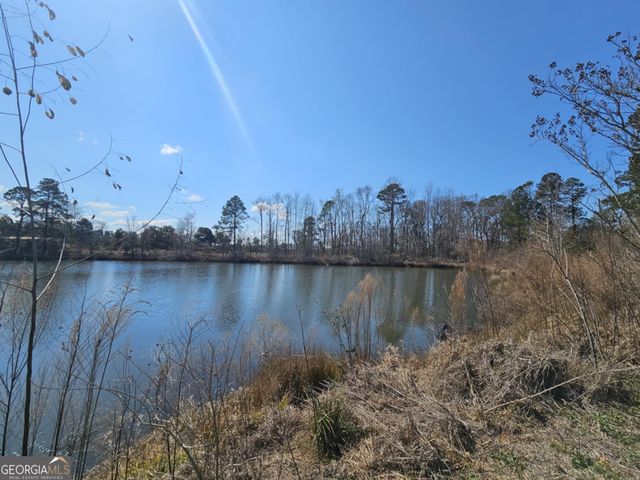 2464 & 2470 Savannah Highway, Sylvania, GA 30467