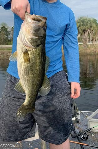 2464 & 2470 Savannah Highway, Sylvania, GA 30467