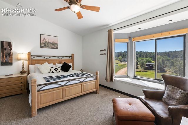243 Lakewood Drive, Woodland Park, CO 80863