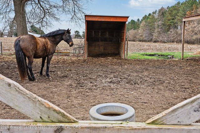 610 Grovenburg Road, Mason, MI 48854