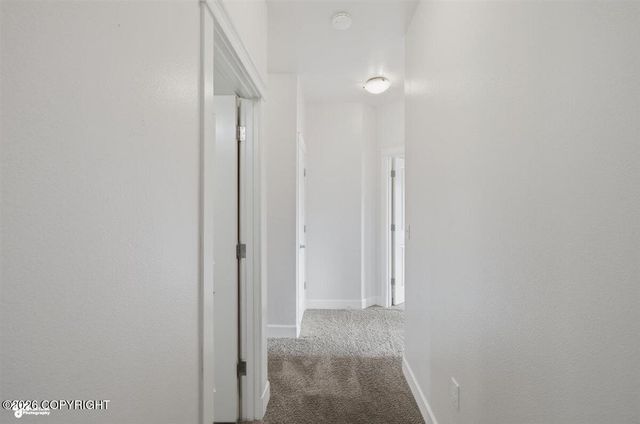 1135 W Angel Circle, Palmer, AK 99645