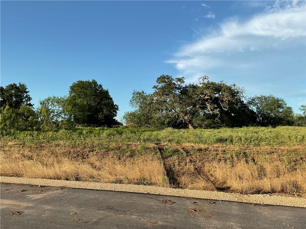 10701 Cook Crossing, College Station, TX 77845 — photo 4