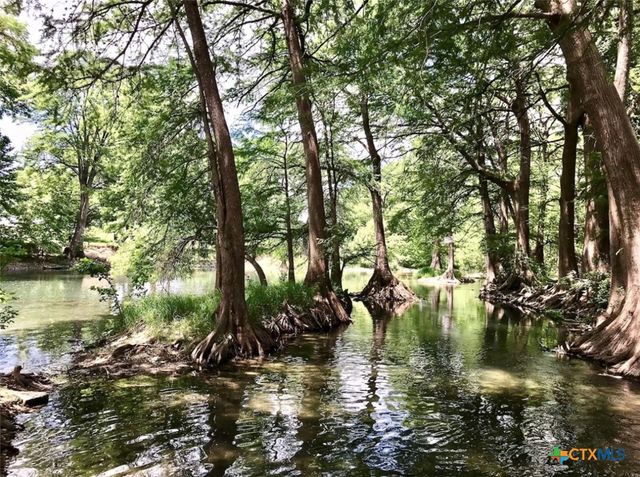 730 E Mather Street F302, New Braunfels, TX 78130