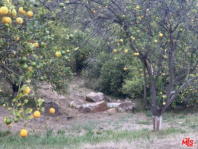 45600 Calle Jardin, Temecula, CA 92590