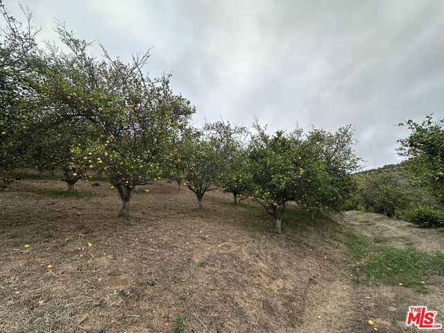 45600 Calle Jardin, Temecula, CA 92590