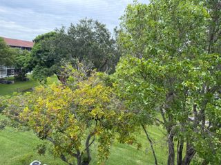 301 SW 135th Avenue 404c, Pembroke Pines, FL 33027