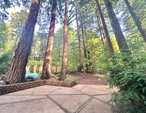 155 Mcgaffigan Mill Road, Boulder Creek, CA 95006
